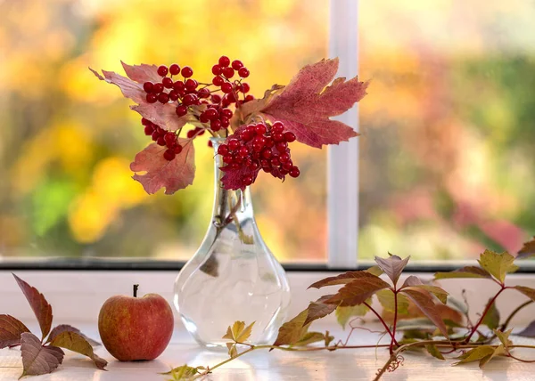 Image with viburnum. — Stock Photo, Image