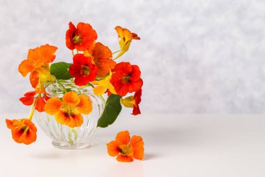 Nasturtiyumlu görüntü.