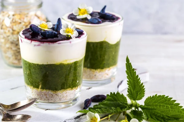 Heerlijk Dessert Met Een Laagje Yoghurt Smoothie Met Brandnetel Havervlokken — Stockfoto