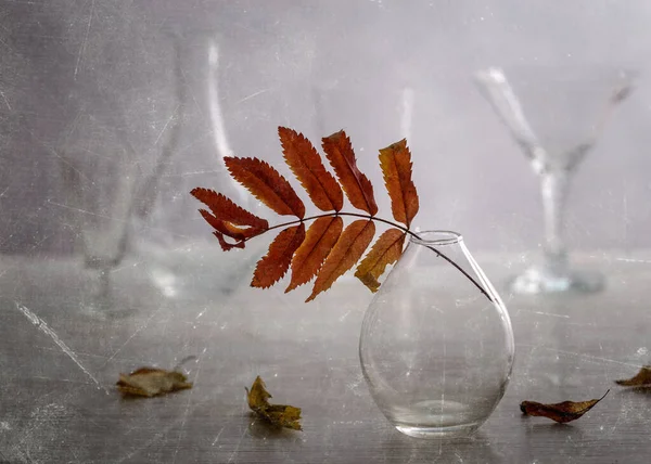 Cam Kaplama Bir Vazoda Rowan Yaprağı Sonbahar Sakin Bir Hayat — Stok fotoğraf