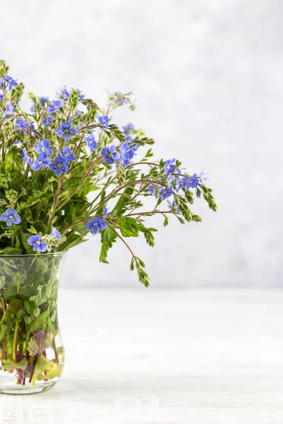 stock image Bouquet of blue Veronica on a light background with copy space.