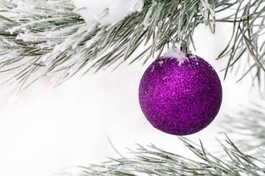 Çam dalında Noel süslemeleri