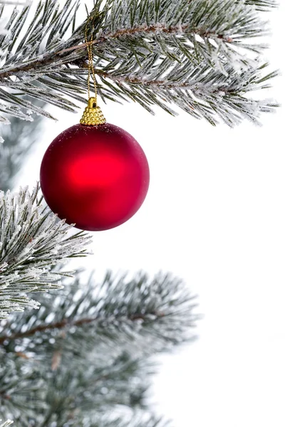 Christmas decorations on the pine branch Stock Picture