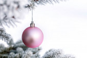 Růžové vánoční míčky na borovicové větvi pokryté mrazem. Vánoční přání. Kopírovat mezeru pro text.