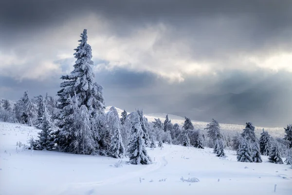 Invierno Árboles Cubiertos Nieve Las Montañas Los Urales —  Fotos de Stock