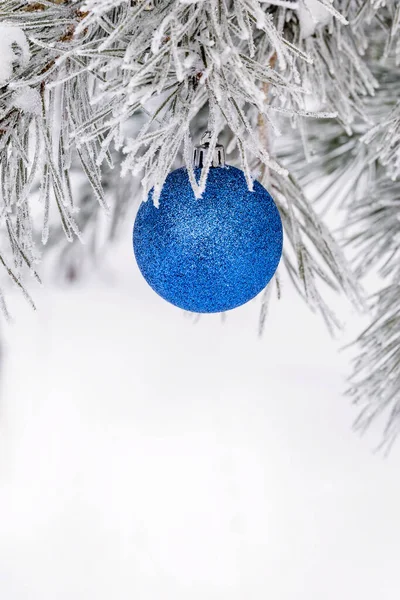 Mavi Noel Topları Bir Çam Dalında Buzla Kaplı Noel Kartı — Stok fotoğraf