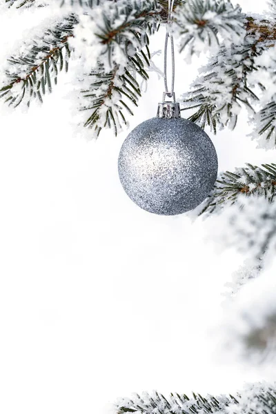 Silver Christmas Balls Pine Branch Covered Frost Christmas Card Copy — Stock Photo, Image