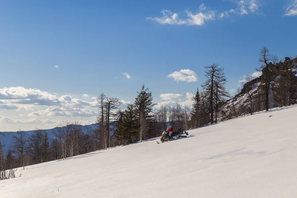 Athlète Motoneige Déplaçant Dans Forêt Hiver Dans Les Montagnes Sud — Photo