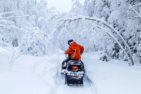 Atleta Una Moto Nieve Que Mueve Bosque Invierno Las Montañas —  Fotos de Stock