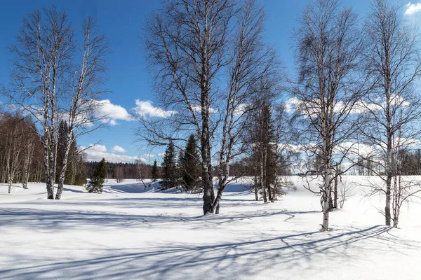 Winter in the mountains — Stock Photo, Image