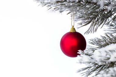 Çam dalında kırmızı Noel topları, buzla kaplı. Noel kartı. Metin için Boşluğu Kopyala.