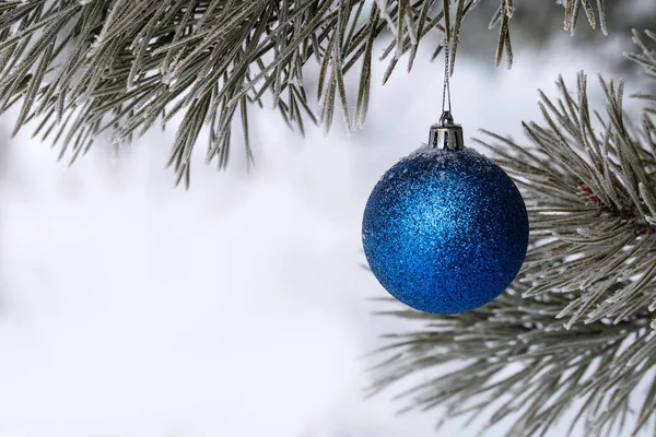 Mavi Noel Topları Bir Çam Dalında Buzla Kaplı Noel Kartı — Stok fotoğraf