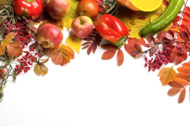 Beyaz arka planda sonbahar yaprakları. Metin için alanı kopyala.