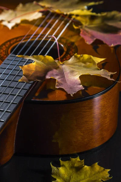 Guitarra Folhas Outono Fundo Escuro — Fotografia de Stock