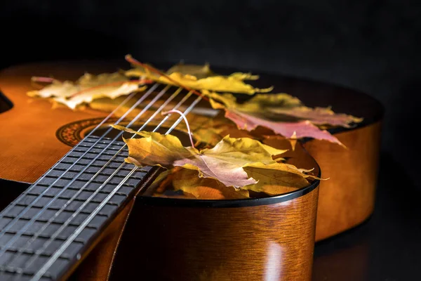 Guitarra Folhas Outono Fundo Escuro — Fotografia de Stock