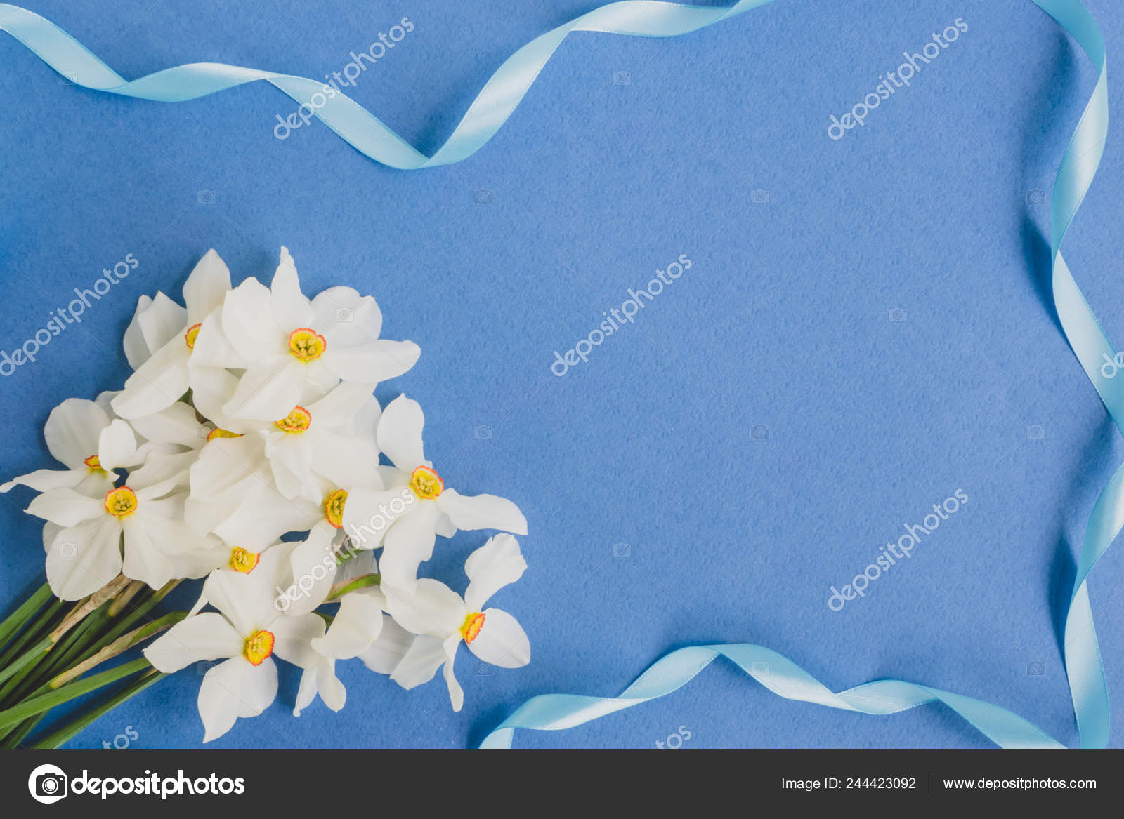 テキスト トップ ビューの明るい青の背景の空スペースの白い春の花 ストック写真 C Maria Lh