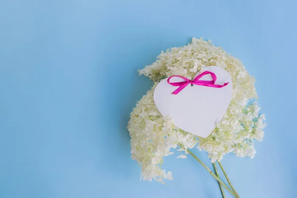 White flower hydrangea on a blue background