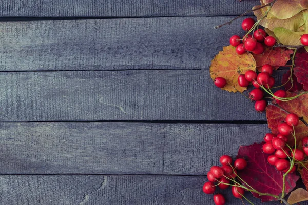 Bright autumn leaves and berries