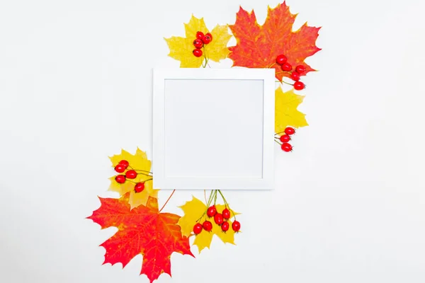Mockup square white frame with colorful autumn leaves and berries on a white background