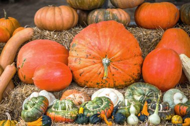 Turuncu kabak arka plan yığını