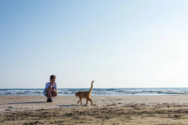 Niño Lindo Gato Rojo Playa — Foto de Stock