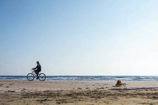 Vista Del Gato Hombre Montar Bicicleta Por Orilla Del Mar — Foto de Stock