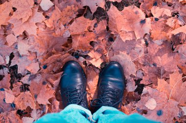 Düşmüş sonbahar yaprakları üzerinde Bacaklar