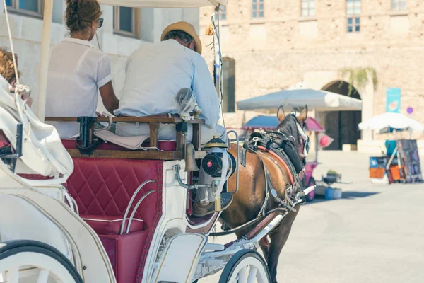 Caballo Blanco Con Carruaje Para Los Turistas Puerto Ciudad Chania —  Fotos de Stock