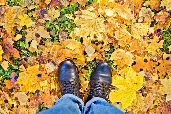 Beine Auf Abgefallenen Herbstblättern — Stockfoto