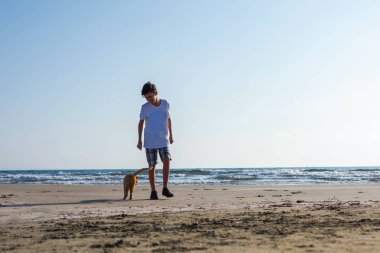 Sahilde çocuk ve sevimli kırmızı kedi 