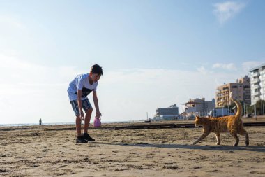 Sahilde çocuk ve sevimli kırmızı kedi 