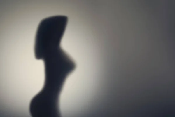 Silueta Del Cuerpo Mujer Desnuda Detrás Puerta Cristal Concepto — Foto de Stock