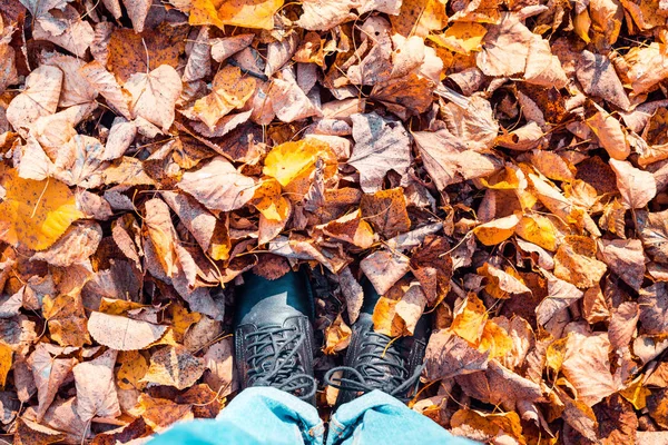 Herfst Afbeelding Van Benen Zwarte Laarzen Kleurrijke Bladeren Gouden Seizoen — Stockfoto