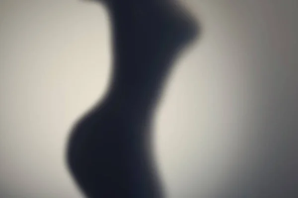 Silueta Del Cuerpo Mujer Desnuda Detrás Puerta Cristal Concepto — Foto de Stock