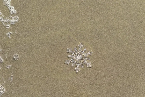 Onda Mar Praia Arenosa Com Flocos Neve — Fotografia de Stock