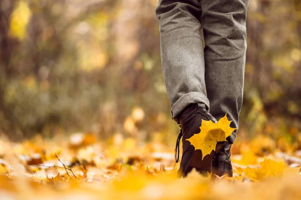 Hoja Amarilla Pegada Zapato Las Mujeres Durante Paseo Por Bosque — Foto de Stock