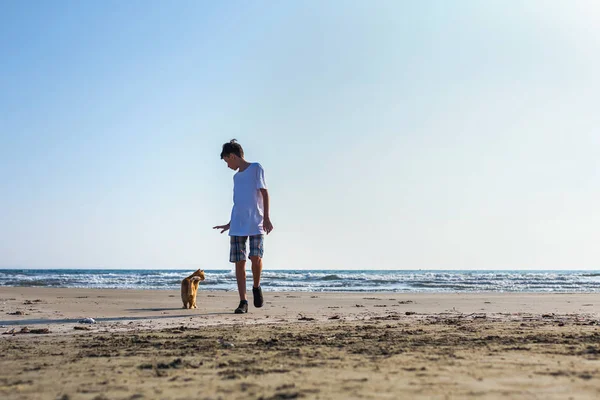 Niño Adolescente Con Gran Gato Rojo Playa — Foto de Stock