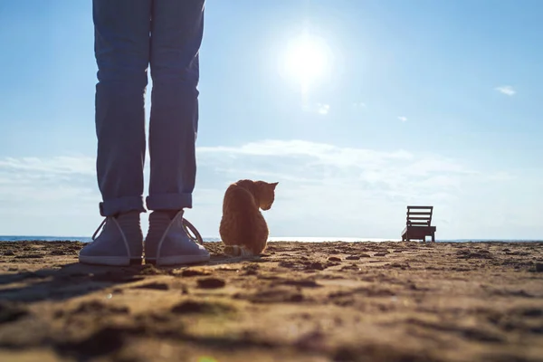 Мальчик Подросток Большой Красной Кошкой Пляже — стоковое фото