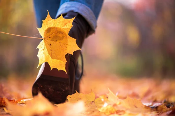 Hoja Amarilla Pegada Zapato Las Mujeres Durante Paseo Por Bosque — Foto de Stock