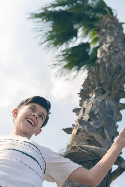 Boy Coconut Palm Tree Sky — Stock Photo, Image