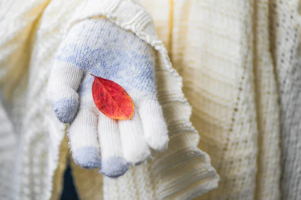 Gros Plan Main Femelle Avec Feuille Automne — Photo