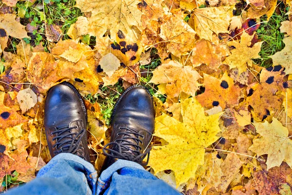 Ноги Опавших Осенних Листьях — стоковое фото
