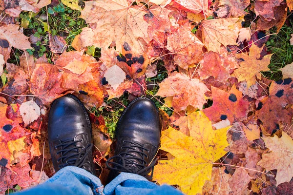 Legs on fallen autumn leaves