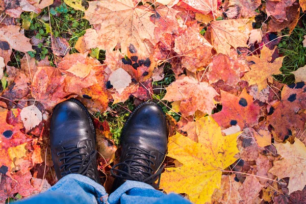 Piernas Sobre Hojas Caídas Otoño — Foto de Stock