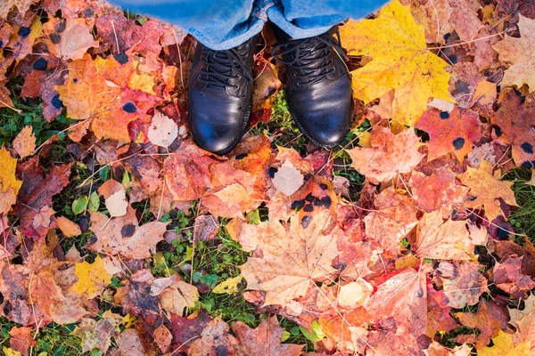 Beine Auf Abgefallenen Herbstblättern — Stockfoto