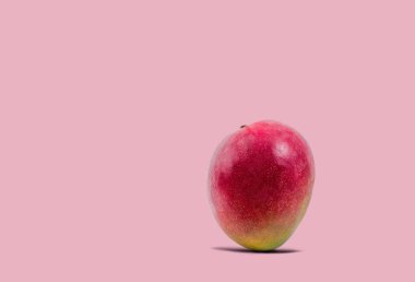 Bir leylak arka plan üzerinde Pimsean çeşitli büyük bir mango meyve. Yaratıcı fotoğraf