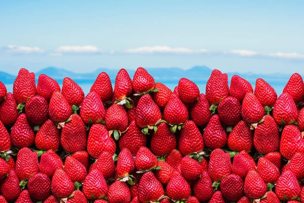 Lot Ripe Strawberries Space Text Blue Sky Background Concept — Stock Photo, Image