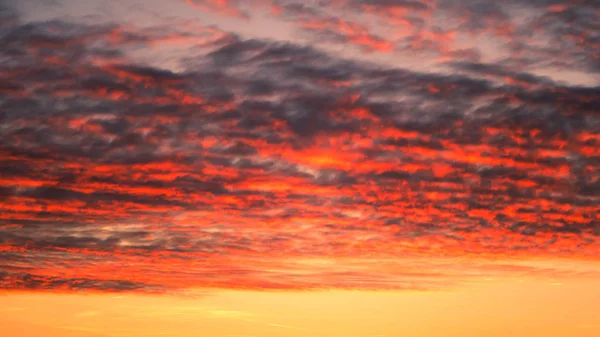 분홍색과 파란색 구름의 파스텔 색상의 — 스톡 사진