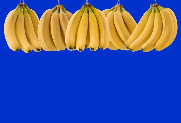 Dużo Dojrzałych Bananów Pęczek Miejscem Tekst Niebieskim Tle Koncepcja Zdrowej — Zdjęcie stockowe