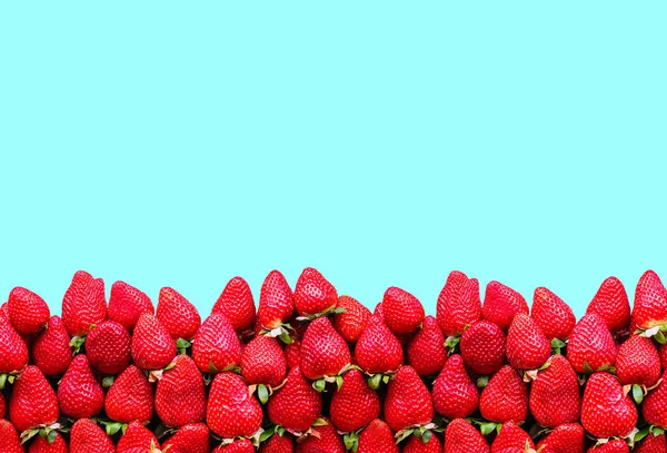 Viele Reife Erdbeeren Mit Platz Für Text Auf Blauem Hintergrund — Stockfoto